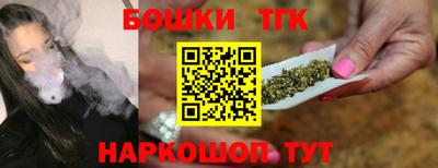СК Шелехов