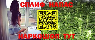 СК Шелехов