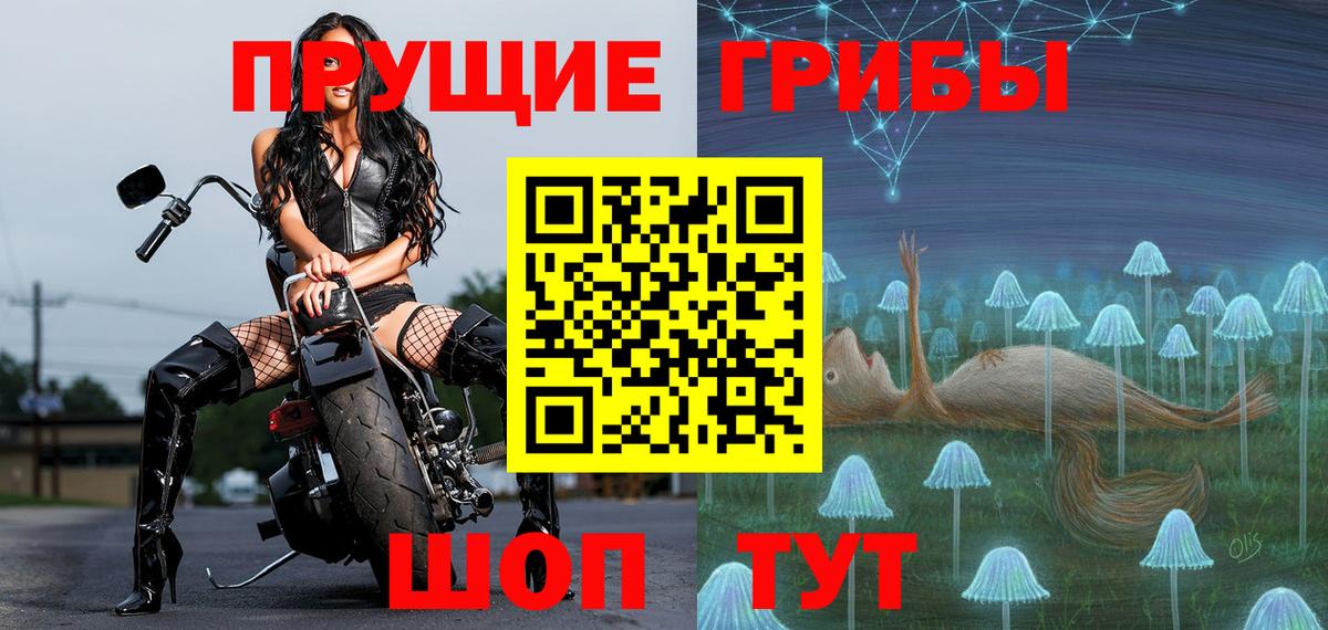 Ахтубинск  Псилоцибиновые грибы прущие грибы  где продают наркотики  Вход с VPN 