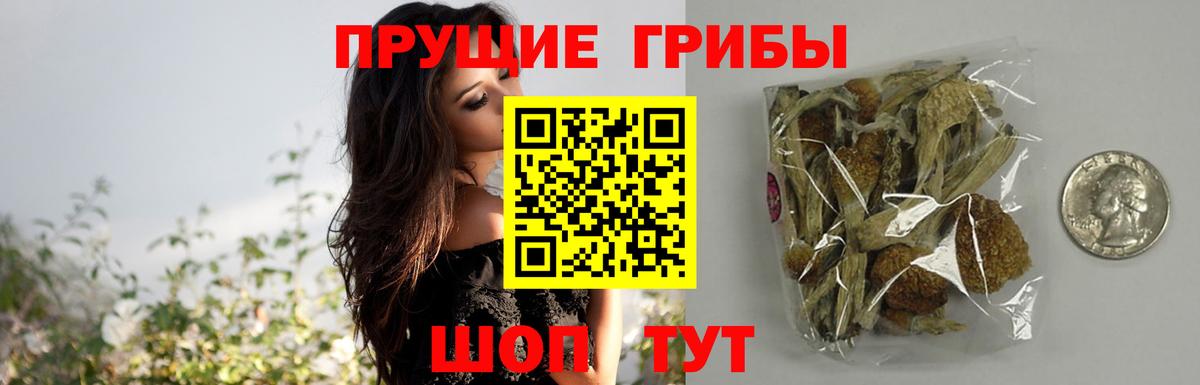 Псилоцибиновые грибы мицелий Ахтубинск